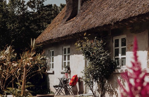 Dronningmolle House | Idillyc house on horsefarm called Enggaarden
