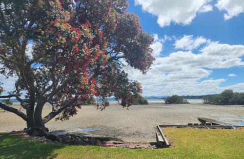 Tamaterau House | Idlea Wyle