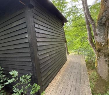 Them Other | Idylisk primitiv hytte midt i skoven