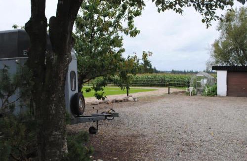 Nibe House | Idyllic Countryside Farm with Horseback Riding