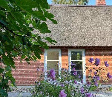 Skanderborg House | Idyllic House By Mossø