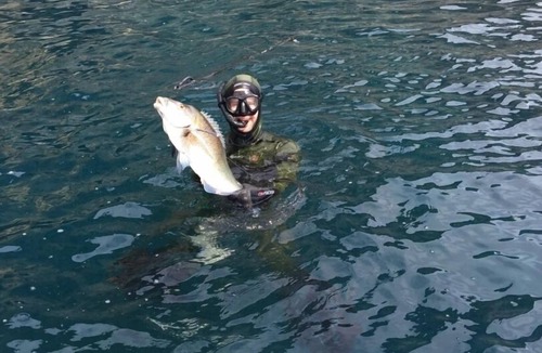 Parekura Bay House | Idyllic Waterfront Kiwi Beach House