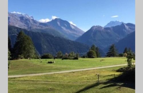 Bitsch Apartment | Idyllisches Chalet inmitten der Walliser Bergwelt
