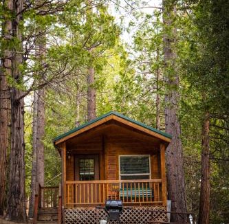 Pine Cove Resort | Idyllwild Camping Resort Cabin