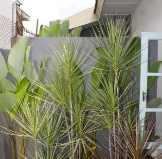 Banyuwangi Hostel | Ijen Haus