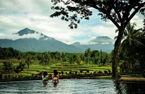 Banyuwangi Resort | Ijen Resort and Villas - The Hidden Paradise