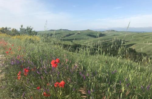 Torre A Castello Apartment | Il Borghetto Studio apartment in Crete Senesi