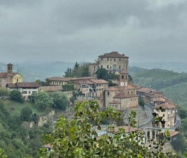 Castellinaldo Bed & Breakfast | Il bosco delle torte