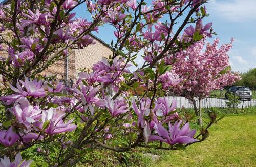 Aulnoye-Aymeries Bed & Breakfast | Il etait une ferme