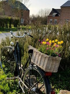 Aulnoye-Aymeries Bed & Breakfast | Il etait une ferme