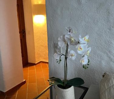 Caslano Apartment | IL RUSTICO a Caslano - Offerta ultime date disponibili estate 2026!