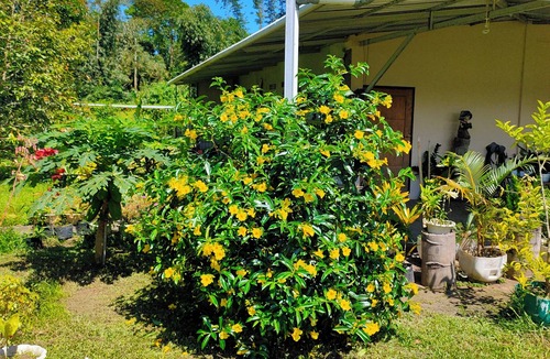 Tomohon Cottage | ilasan cottage