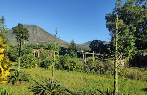 Tomohon Cottage | ilasan cottage