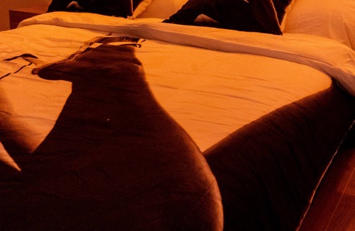 Graulhet House | Ile des Plaisirs