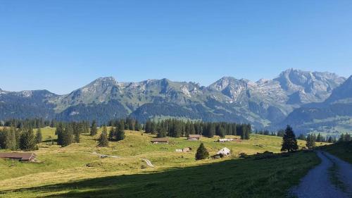 Wattwil Apartment | Im Toggi