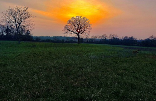 Sainte-Gemme Cottage | Impeccable 2-Bed Cottage in Sainte-Gemme