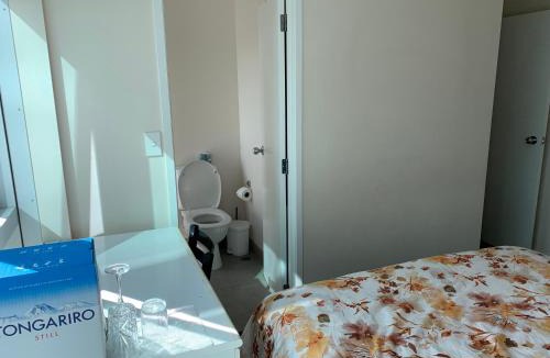 Auckland Central Business District House | Imperial Garden