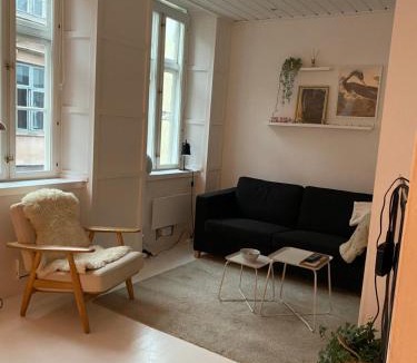 Copenhagen City Centre Apartment | In the city center of Copenhagen