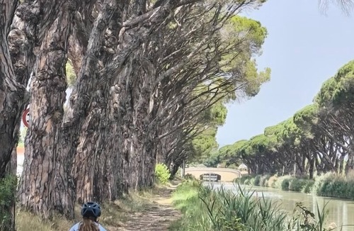 Mirepeisset House | In the shade of the Olive Tree