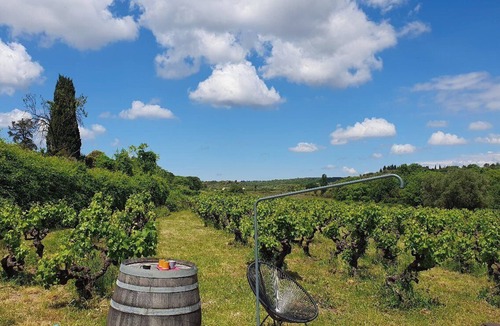 Aspiran House | In the vineyards.