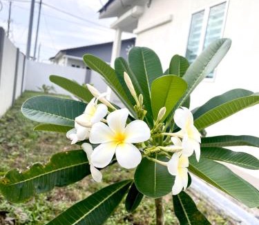 Durian Sebatang House | Inang Homestay