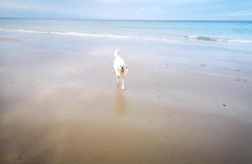 East Runton Bed & Breakfast | Incleborough House B & B