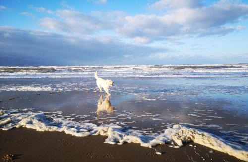 East Runton Bed & Breakfast | Incleborough House B & B