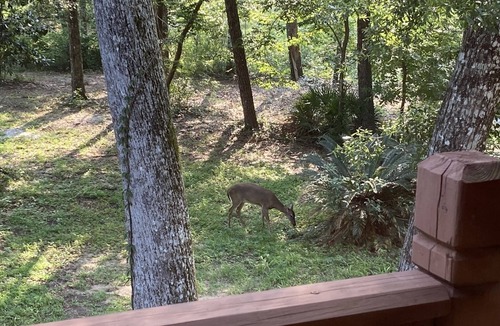 Tallahassee House | Incredible water views!