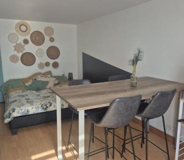 Vautorte Apartment | Independent 27 m4 space