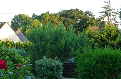 Pornichet Apartment | Independent apartment in house in Pornichet