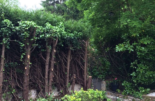 Piscop House | Independent country house with garden between fields and forest, near Paris.