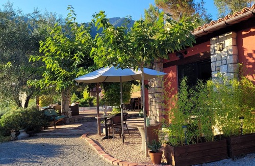 Bouvet Island House | Independent studio in a quiet olive grove