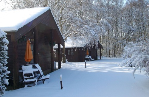 Ashford House | Indoor Pool. Beautiful 2 bedroom lodge 4 people in 5 acres of beautiful Woodland