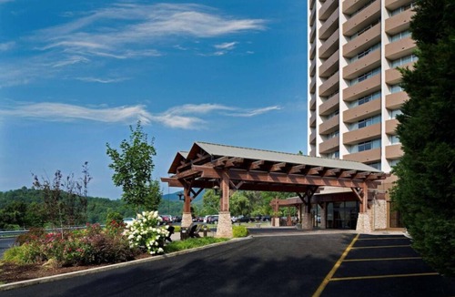 Gatlinburg Hotel | Indoor Swimming Pool, Pets Allowed! Unwind in Gatlinburg's Lap of Comfort!