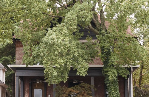 Bowling Green House | Industrial Modern House for Sleep + Play