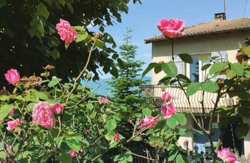 Soula Bed & Breakfast | Infocus-Du-Sud