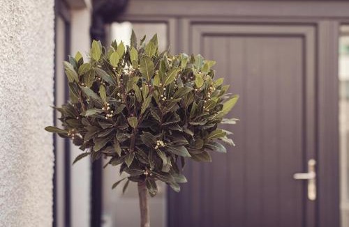 Kirkby Lonsdale House | Ingleborough