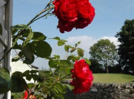 Lindale House | Inglenook Cottage