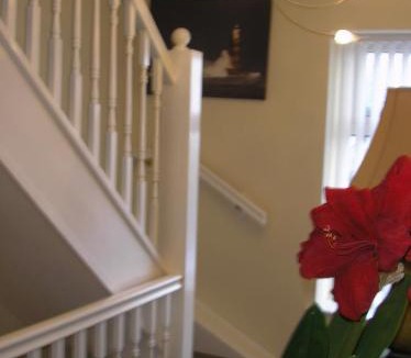 Bolton House | Inglenook cottage