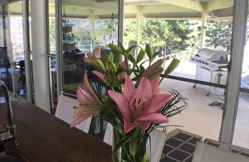 Tallebudgera Valley Bed & Breakfast | Ingleside Stud Farm