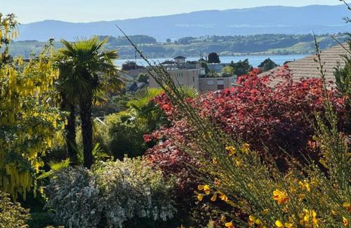 Murten House | inHome Vista Murten