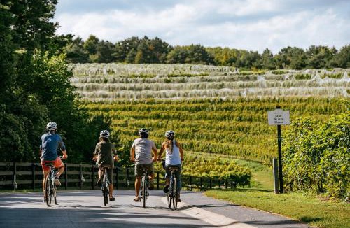 Suttons Bay Hotel | Inn at Black Star Farms