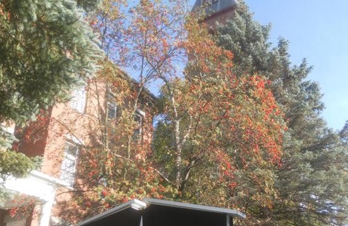 Lewiston Hotel | Inn at the Agora