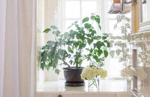 Brattleboro Bed & Breakfast | Inn on Putney Road