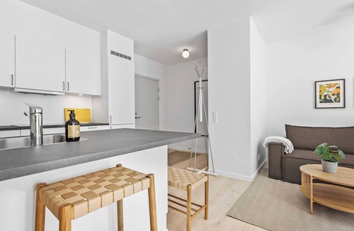 Midtbyen Apartment | Inner City Grand Suite