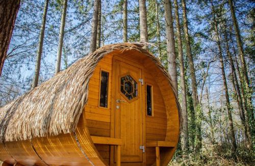 Epiniac Bed & Breakfast | Insolites, Les Ormes, Epiniac