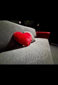 Sedan Apartment | Instant Cinéma-Détente et Romantisme