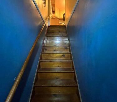 Binghamton Apartment | Intimate 1 Bedroom Apt by UHS