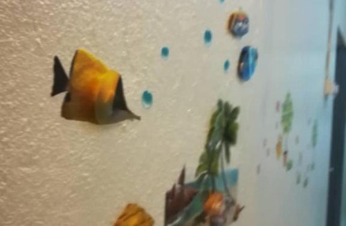 Simee House | Ipoh Homestay