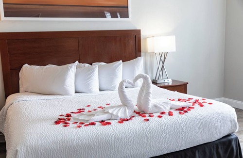 Teaticket Hotel | Iris Hotel Cape Cod